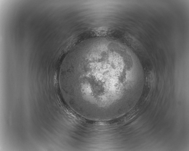 X0000067530610200604150227