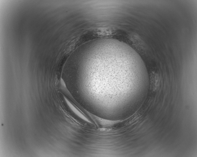 X0000067530614200604150227