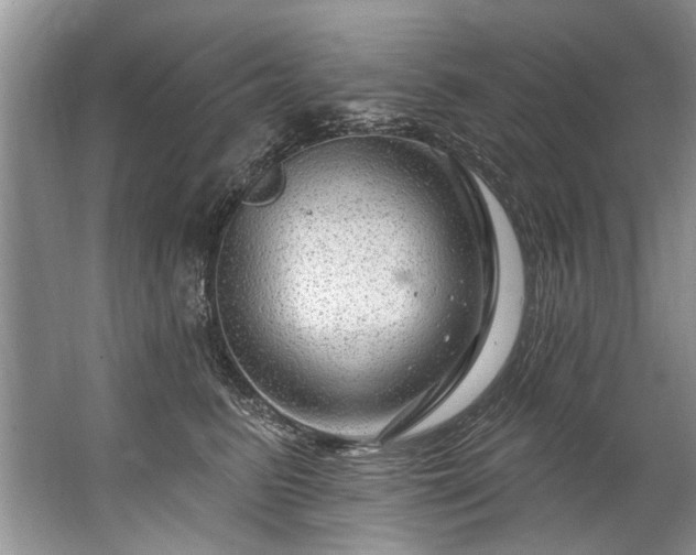 X0000067530615200604150227