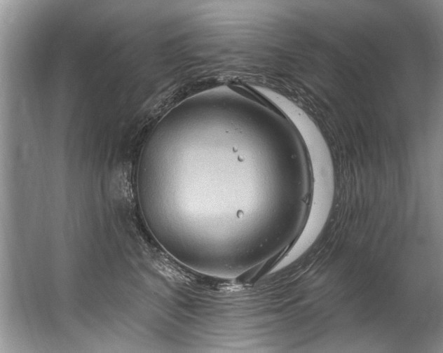 X0000067530616200604150227