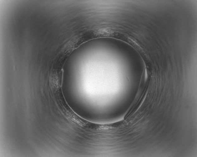 X0000067530617200604150227