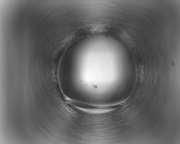 X0000067530619200604150227