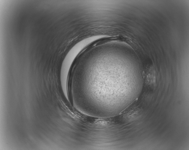 X0000067530620200604150227