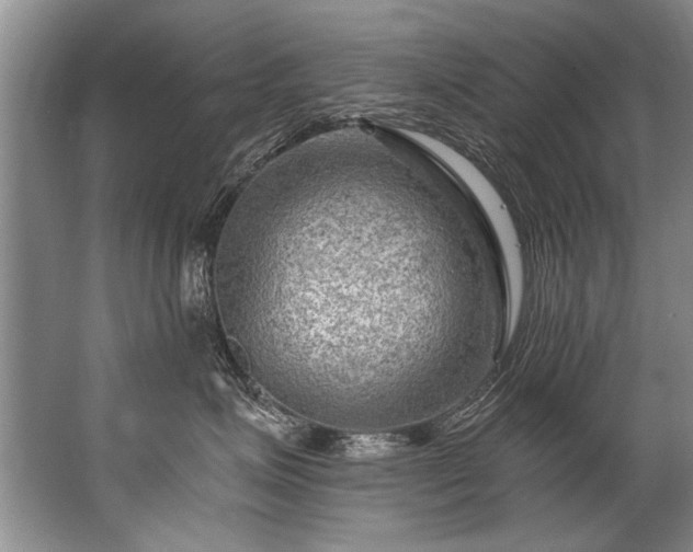 X0000067530623200604150227