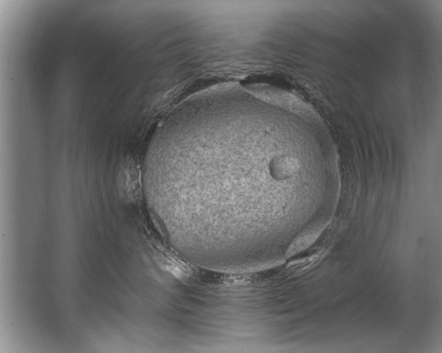 X0000067530624200604150227