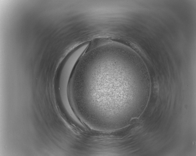 X0000067530626200604150226