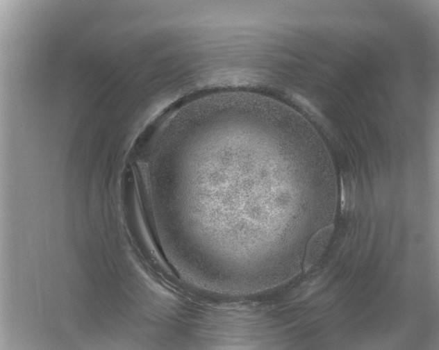 X0000067530627200604150226