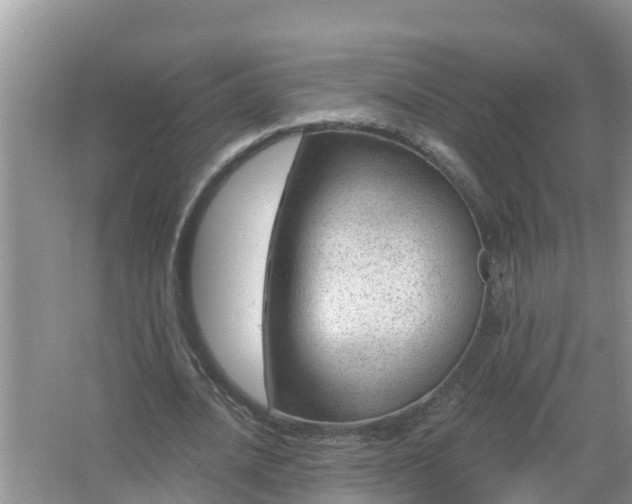 X0000067530628200604150226