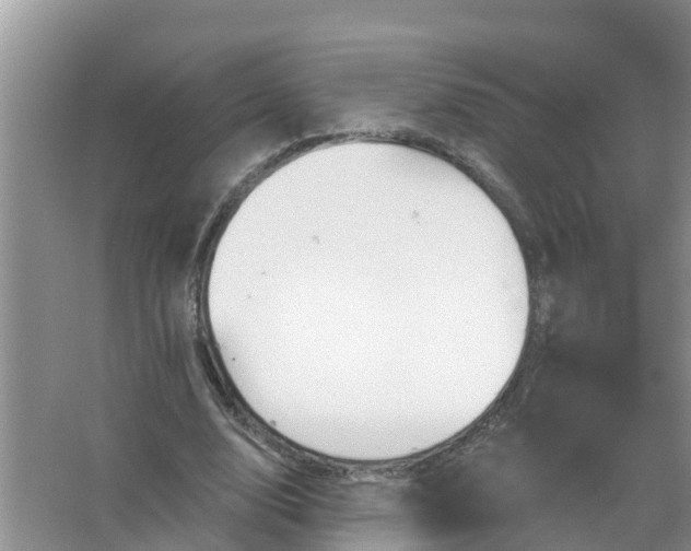 X0000067530632200604150226