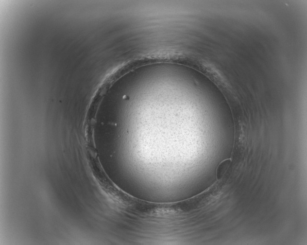 X0000067530636200604150226