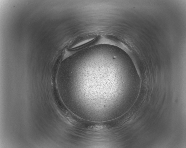 X0000067530639200604150226