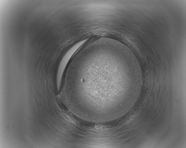 X0000067530641200604150226