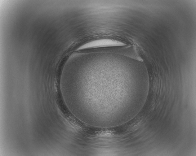 X0000067530643200604150226