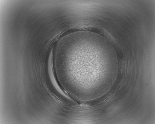 X0000067530644200604150226