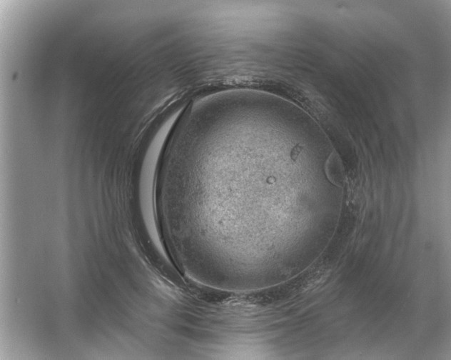 X0000067530648200604150227