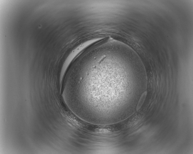 X0000067530649200604150227