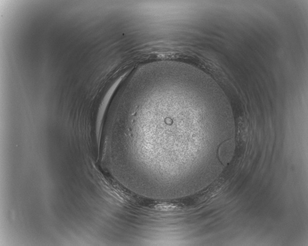 X0000067530650200604150227