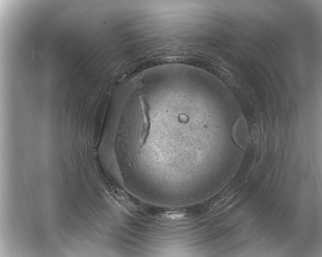 X0000067530651200604150227