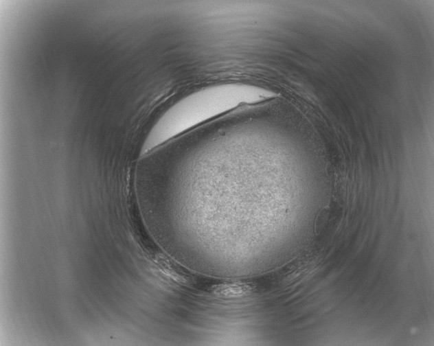 X0000067530652200604150227