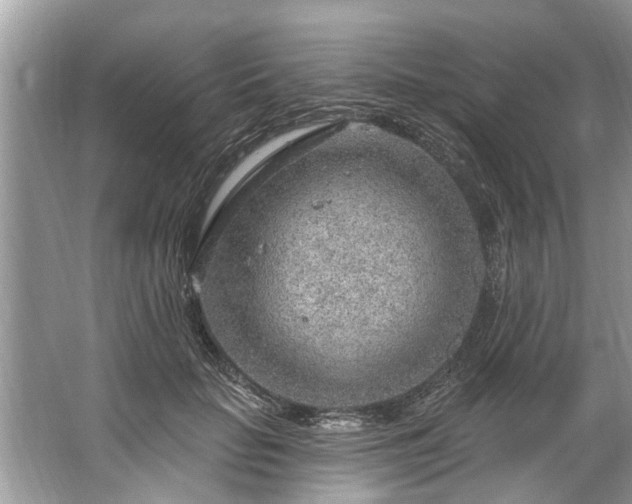 X0000067530653200604150227