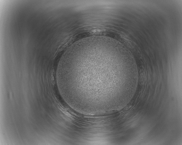 X0000067530654200604150227