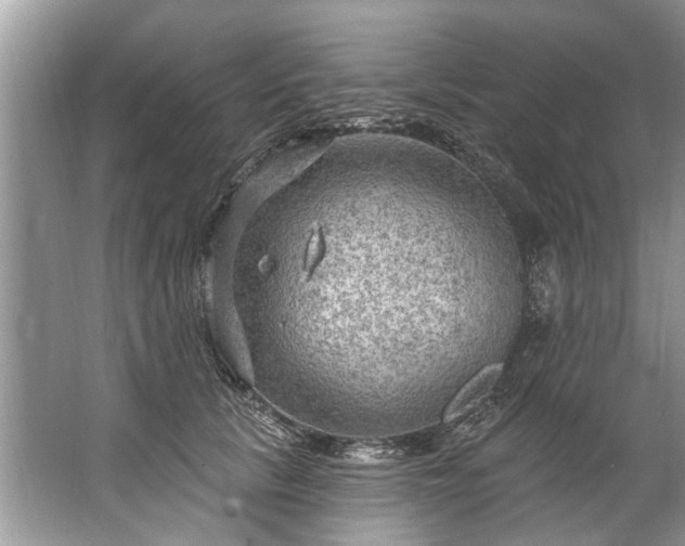 X0000067530657200604150227