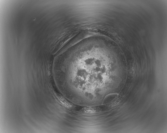 X0000067530658200604150227