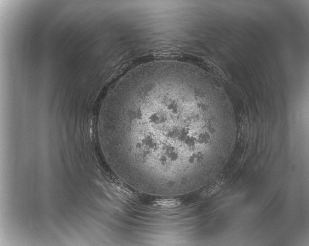 X0000067530659200604150227