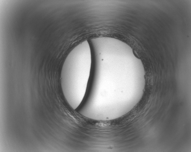 X0000067530660200604150227