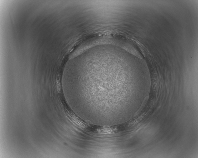 X0000067530661200604150227