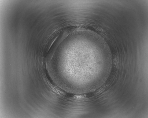 X0000067530662200604150227