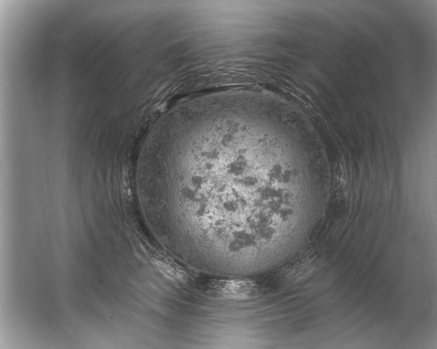 X0000067530663200604150227