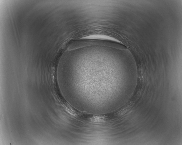 X0000067530664200604150227