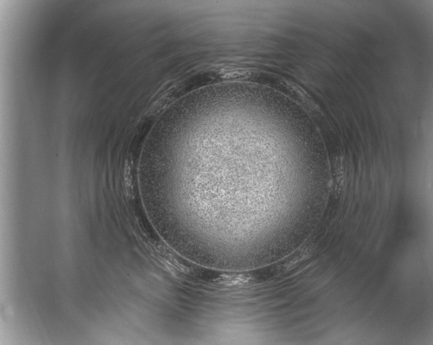 X0000067530667200604150227