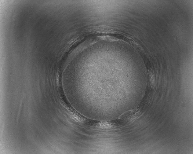 X0000067530668200604150227