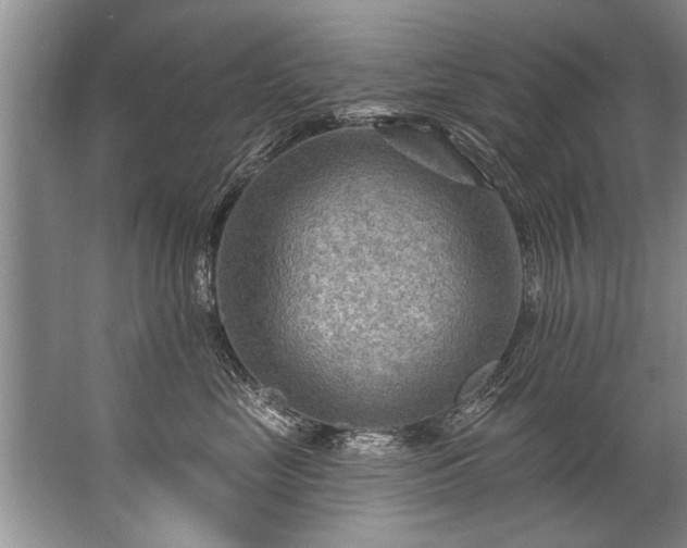 X0000067530669200604150227