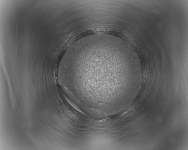 X0000067530671200604150227