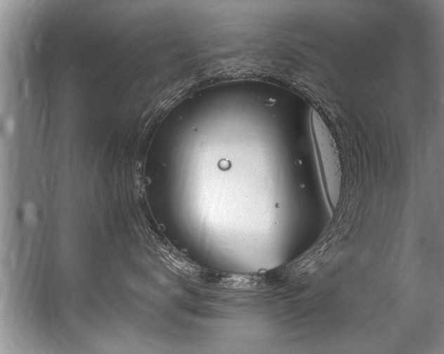 X0000067530672200604150227