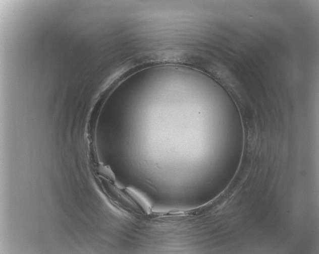 X0000067530674200604150226