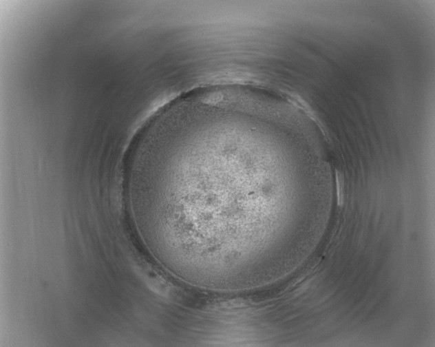 X0000067530675200604150226