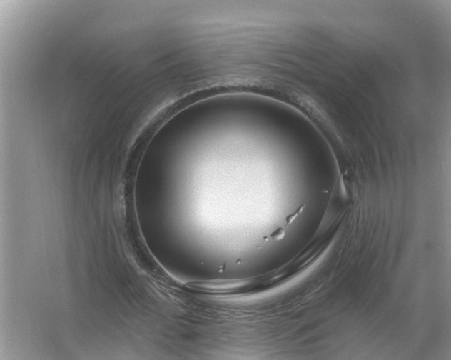 X0000067530676200604150226