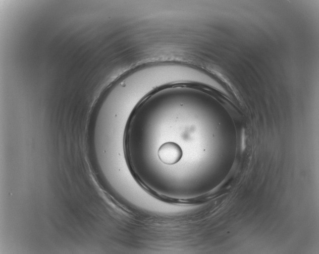 X0000067530677200604150226