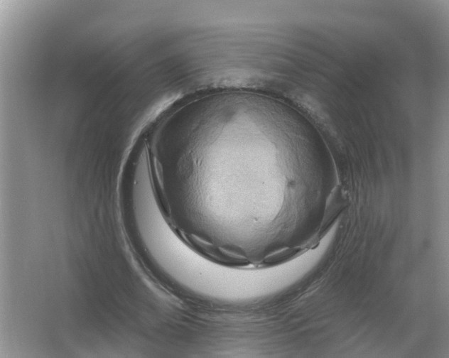 X0000067530678200604150226