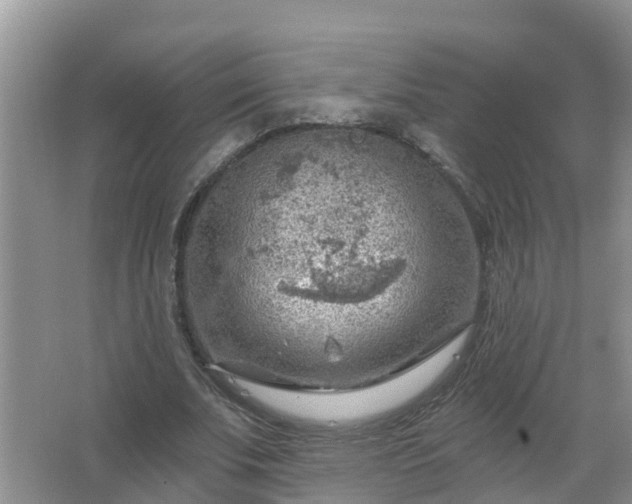 X0000067530679200604150226