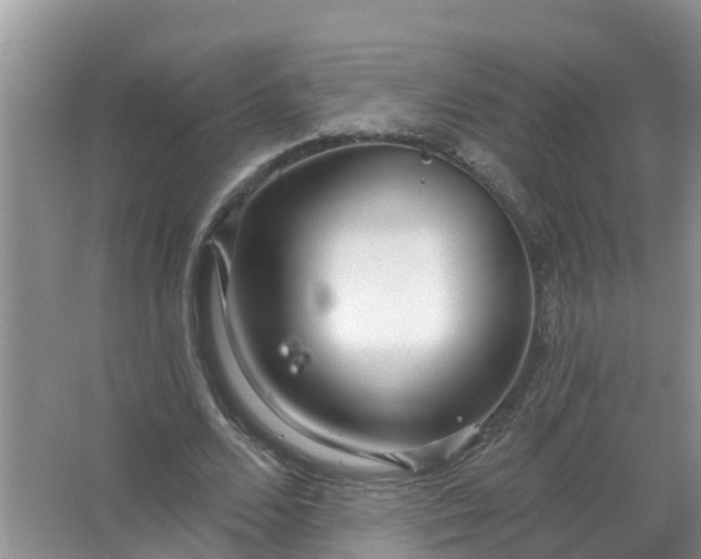 X0000067530680200604150226