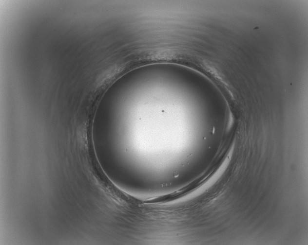 X0000067530681200604150226