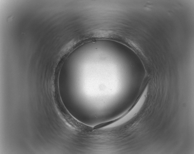 X0000067530682200604150226