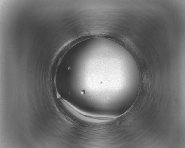 X0000067530684200604150226