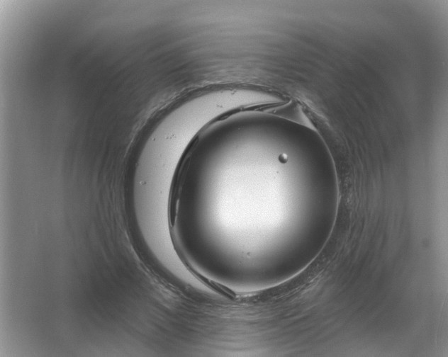 X0000067530685200604150226