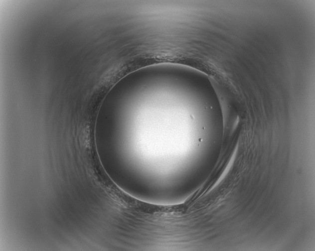 X0000067530689200604150226